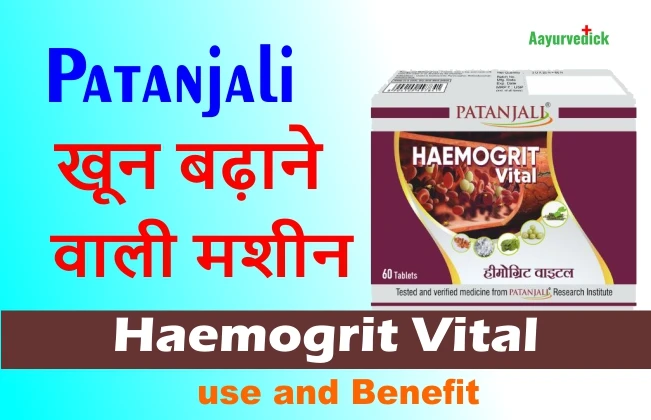 patanjali haemogrit vital use and benefit