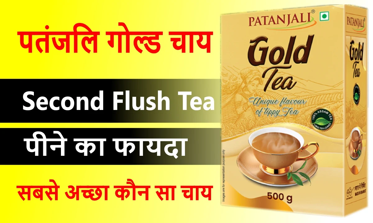 patanjali gold tea benefits and uses in hindi